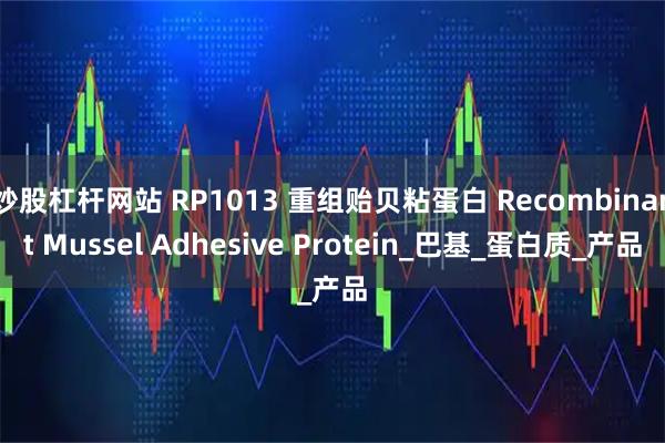 炒股杠杆网站 RP1013 重组贻贝粘蛋白 Recombinant Mussel Adhesive Protein_巴基_蛋白质_产品
