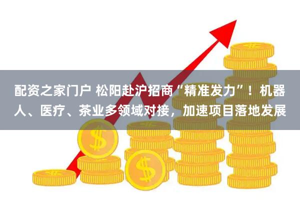 配资之家门户 松阳赴沪招商“精准发力”！机器人、医疗、茶业多领域对接，加速项目落地发展