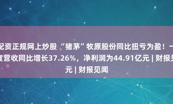配资正规网上炒股 “猪茅”牧原股份同比扭亏为盈！一季度营收同比增长37.26%，净利润为44.91亿元 | 财报见闻