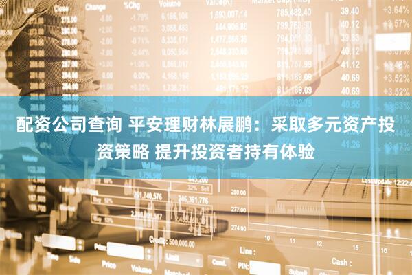 配资公司查询 平安理财林展鹏：采取多元资产投资策略 提升投资者持有体验
